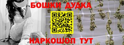 молекула духа Будённовск