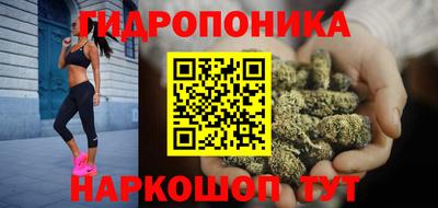 молекула духа Будённовск